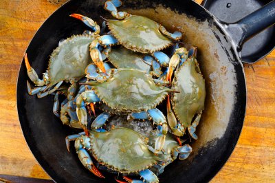 Fresh Blue Crabs